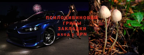 дживик Аркадак