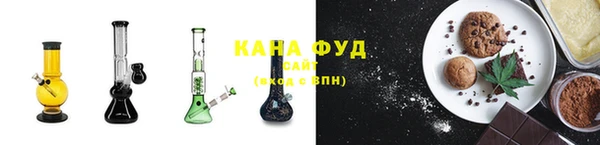 индика Алзамай