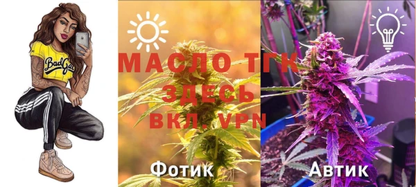 МДПВ Алексин