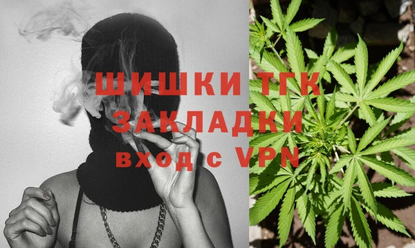 дживик Аркадак