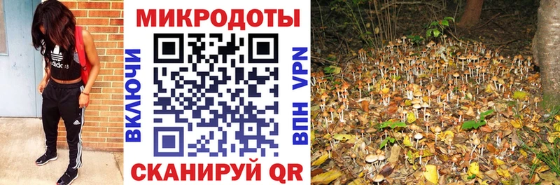 Галлюциногенные грибы Magic Shrooms  Аркадак 