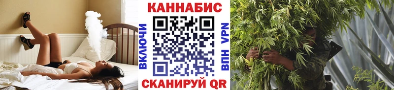 Конопля сатива  Аркадак 